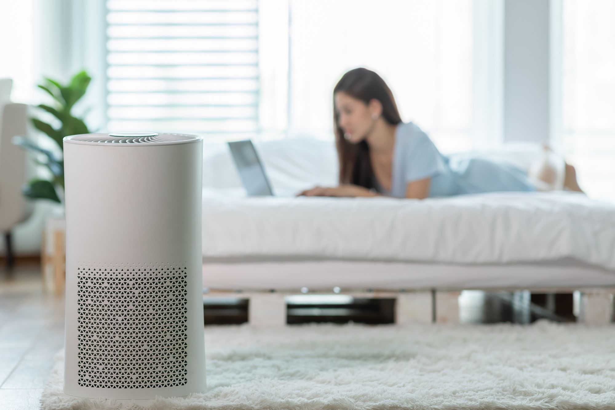 Why You Should buy an Air Purifier and What Different Types There Are