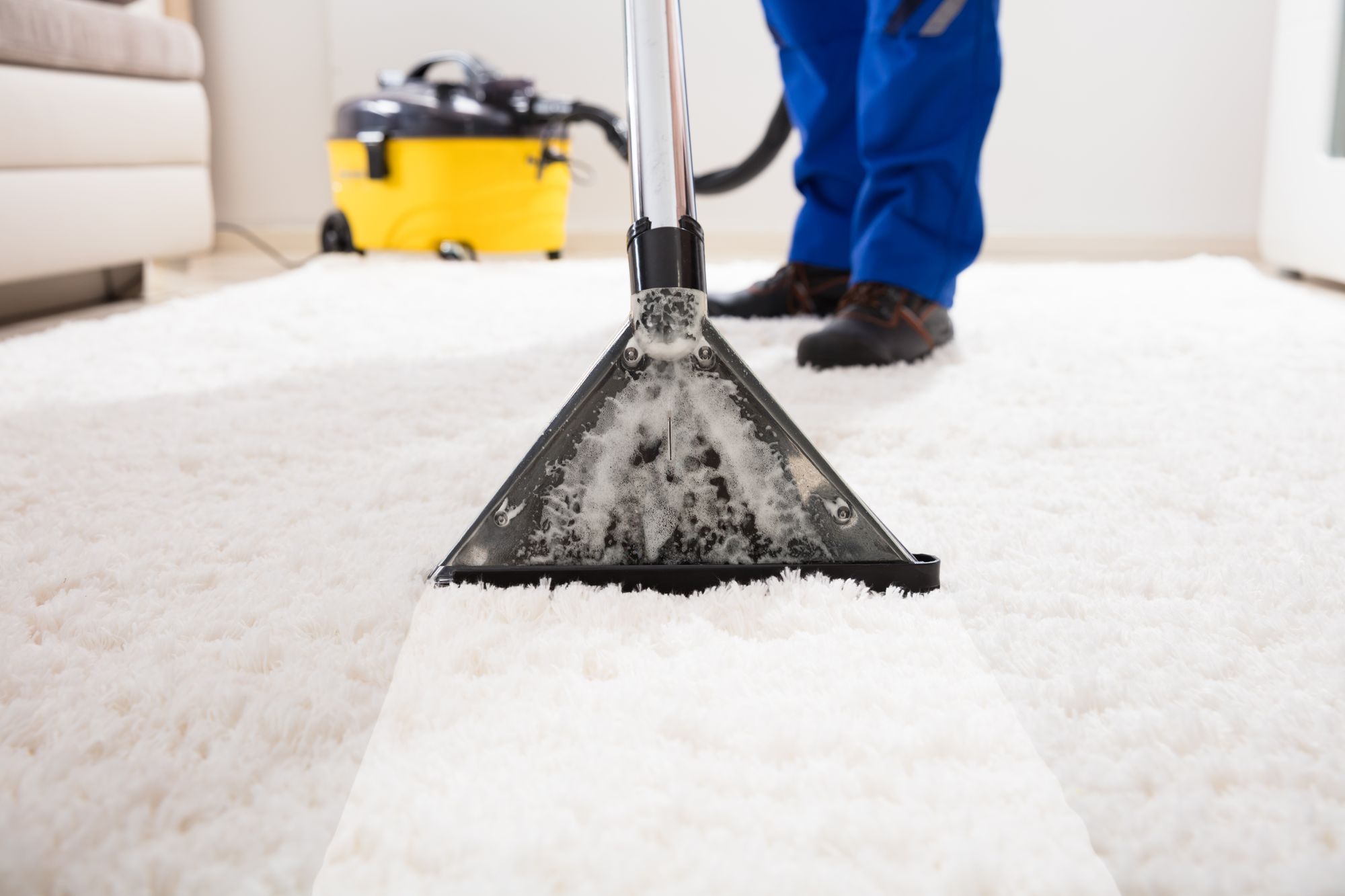 How to Choose the Best Carpet Cleaners - Which Ones Are Right for You