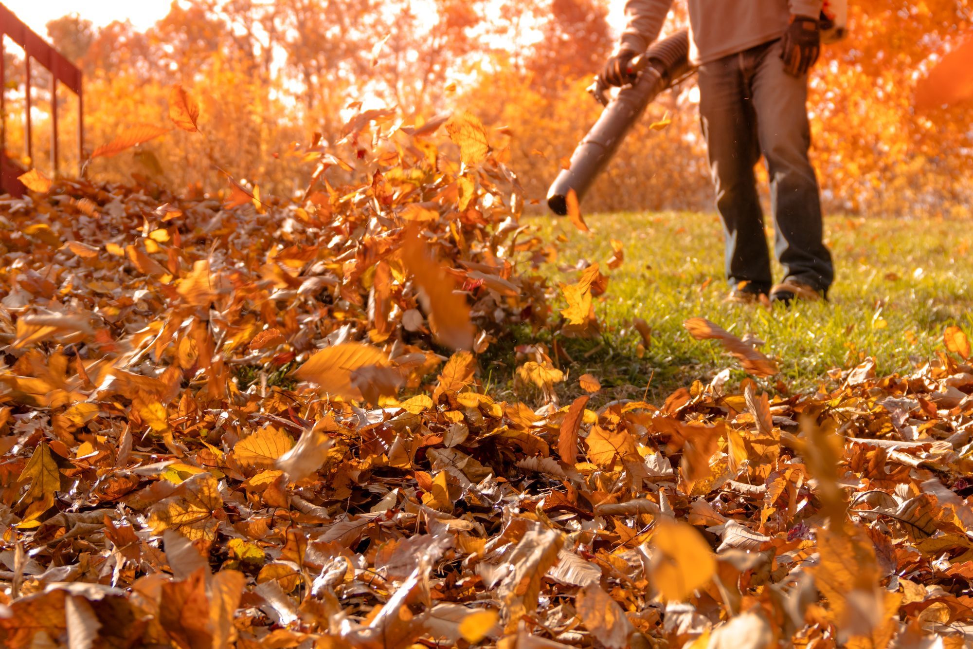 How To Choose The Right Leaf Blower For Home Use